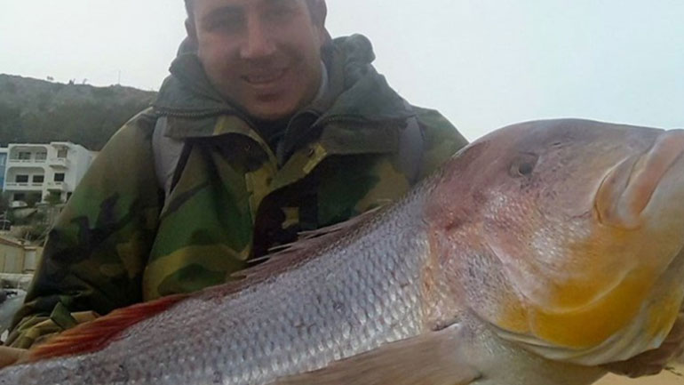 Συναγρίδα 15,5 κιλών έπιασε ψαράς στη Χίο Συναγρίδα 15,5 κιλών έπιασε ψαράς στη Χίο