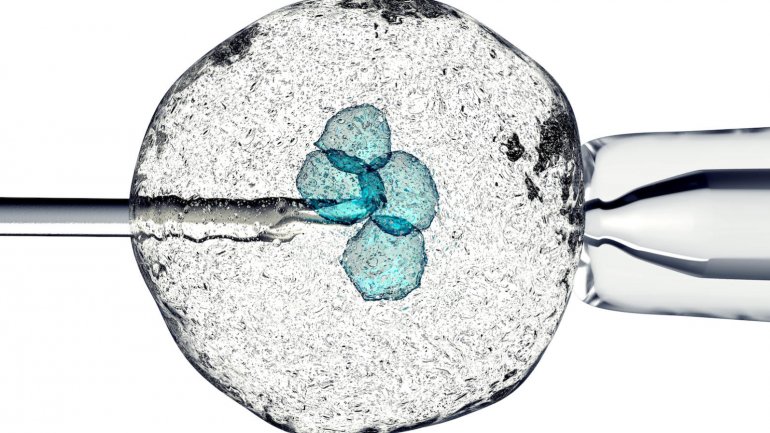 Οι γυναίκες καταψύχουν τα ωάριά τους για να αποφύγουν τον “πανικό του γονιού”