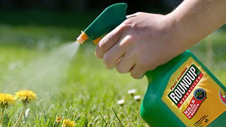 Μελέτη συνδέει τη γλυφοσάτη με στεατοηπατοπάθεια