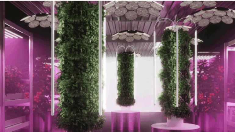 Η κηπουρική θα σώσει τον κόσμο