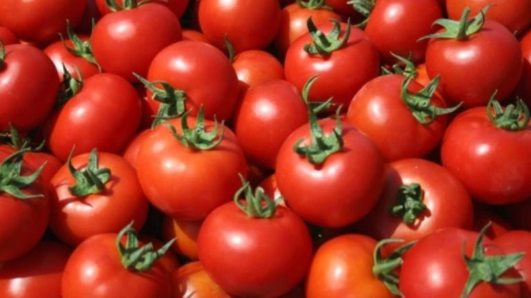 Δεσμεύτηκε μεγάλη ποσότητα ντομάτας στον Πειραιά
