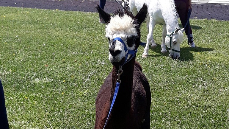 Πολλές εκπλήξεις περιμένουν τα παιδιά.