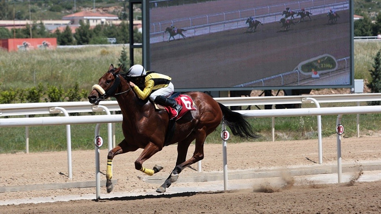 Πλούσιο θέαμα και διασκέδαση για όλους την Κυριακή στο Markopoulo Park