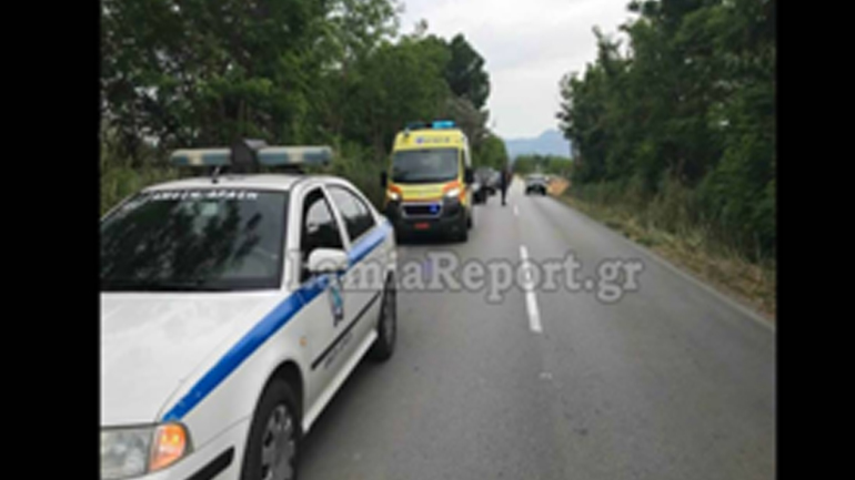 Αδέσποτοι σκύλοι προκάλεσαν τριπλή καραμπόλα