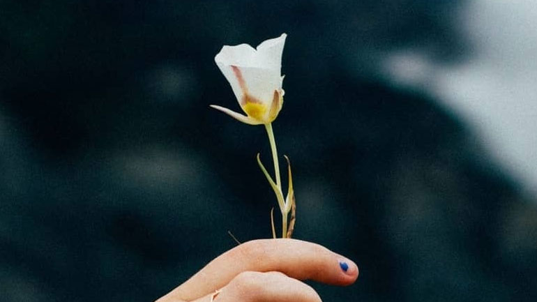 Οι αισθηματικές προβλέψεις των ζωδίων για την εβδομάδα 20 έως 26/5/2019