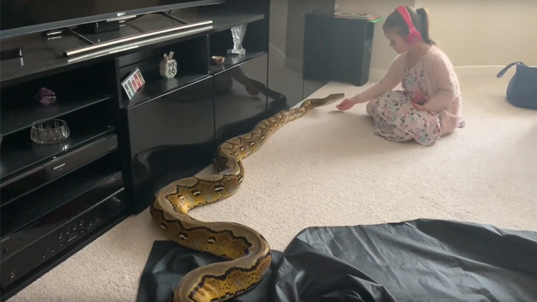 Κοριτσάκι παίζει με πύθωνα