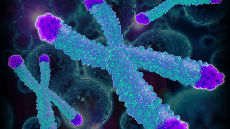 Το DNA των νέων γιατρών γηράσκει κατά 6 χρόνια στο πρώτο έτος εργασίας