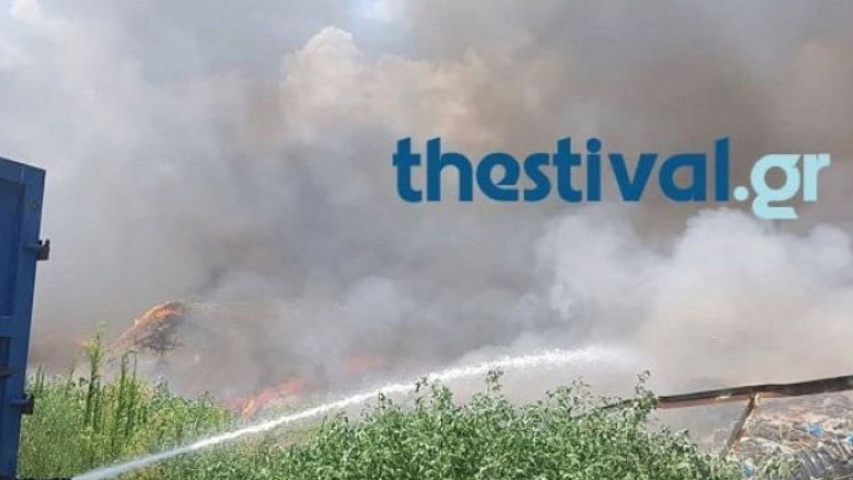 Θεσσαλονίκη: Υπό μερικό έλεγχο η πυρκαγιά σε άλσος στην Αγία Τριάδα