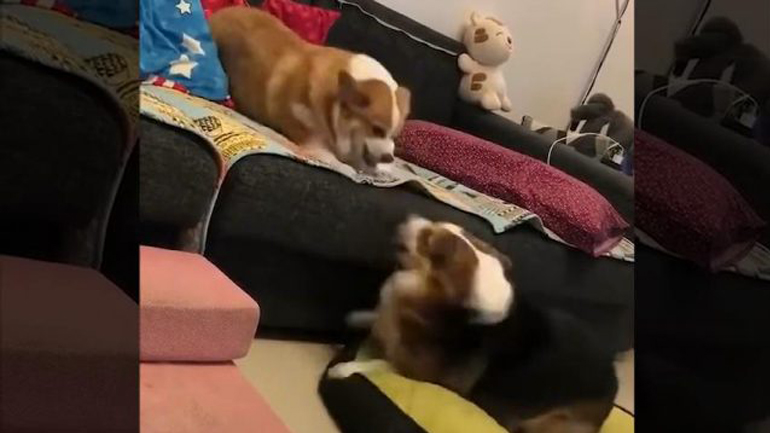 Μάχη από απόσταση