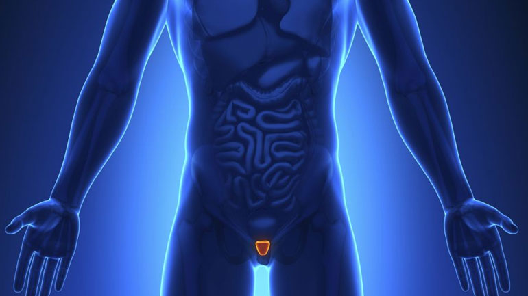 Πόσο σημαντική είναι η συμμόρφωση στις κατευθυντήριες οδηγίες για τη θεραπεία του καρκίνου του πέους