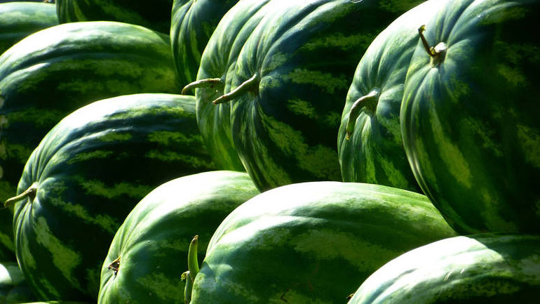 Δεσμεύτηκε μεγάλη ποσότητα καρπουζιών στον Πειραιά