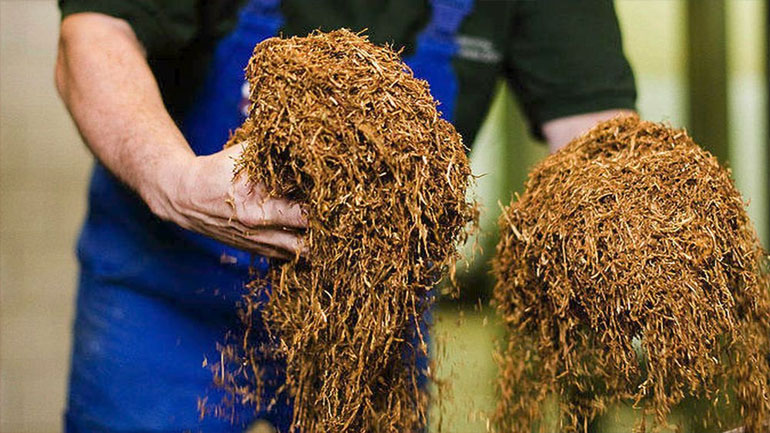 Εξάρθρωση εγκληματικής οργάνωσης που διακινούσε λαθραία καπνικά προϊόντα