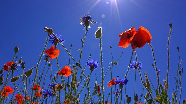 Ξεπέρασε τους 33 βαθμούς η θερμοκρασία στην Κρήτη