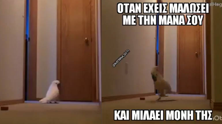 Όταν έχετε μαλώσει και μιλάει μόνη της