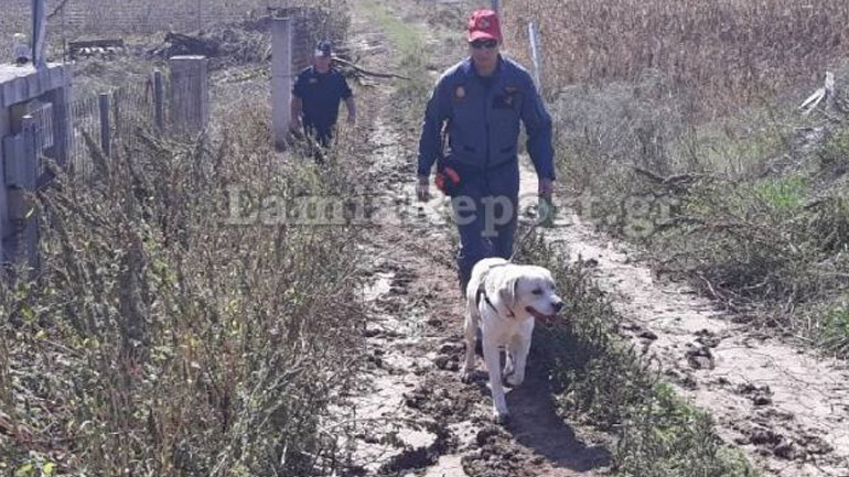 Φωκίδα: Σκύλος της ΕΜΑΚ εντόπισε 80χρονο που είχε εξαφανιστεί