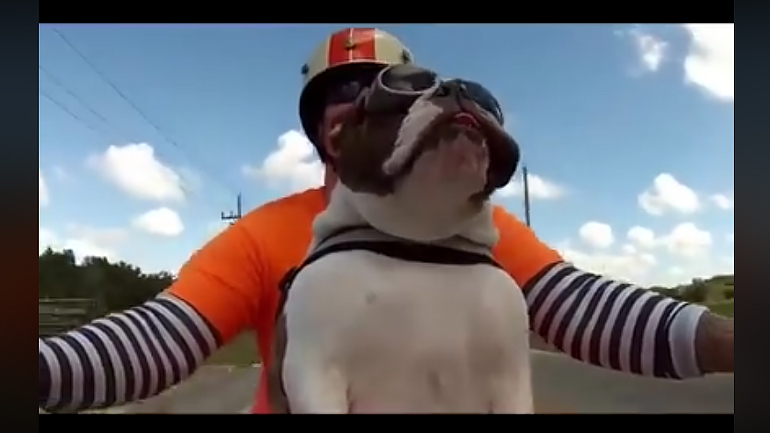 Ο καλύτερος φίλος και του μοτοσυκλετιστή