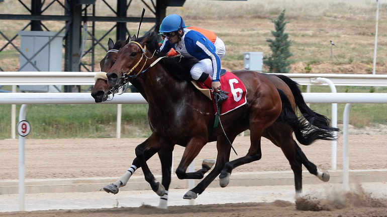 Markopoulo Park: Εντυπωσιακές κούρσες, μεγάλα κέρδη και ρεκόρ αγορών στις δημοπρασίες εξωτερικού