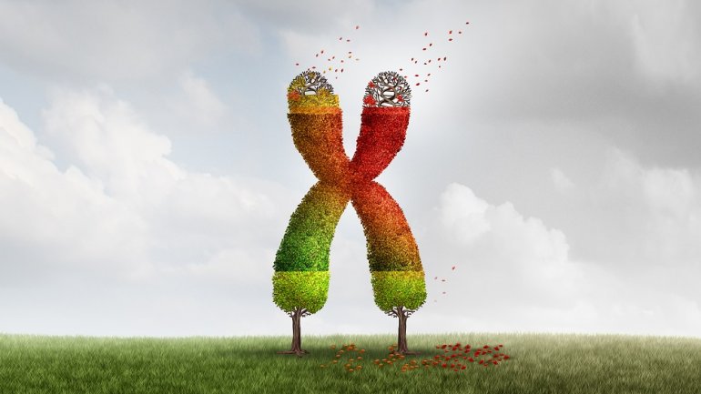 Άμεση βλάβη στα τελομερή προκαλεί το οξειδωτικό στρες