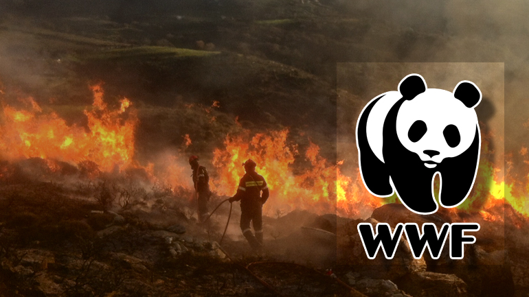 WWF: Αθωράκιστη η Ελλάδα απέναντι στις πυρκαγιές