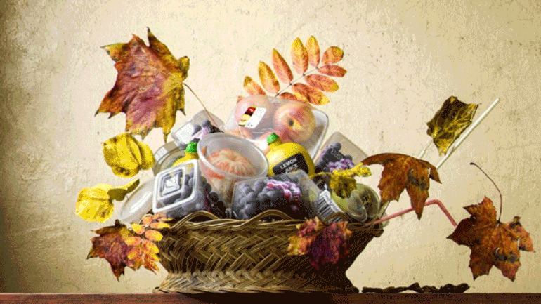 «Όχι ζωή, πλέον»: Διάσημες «Νεκρές Φύσεις» σε πλαστικό