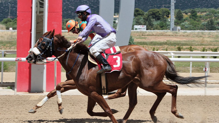 Markopoulo Park: Μοναδικό θέαμα με εντυπωσιακά photo finish