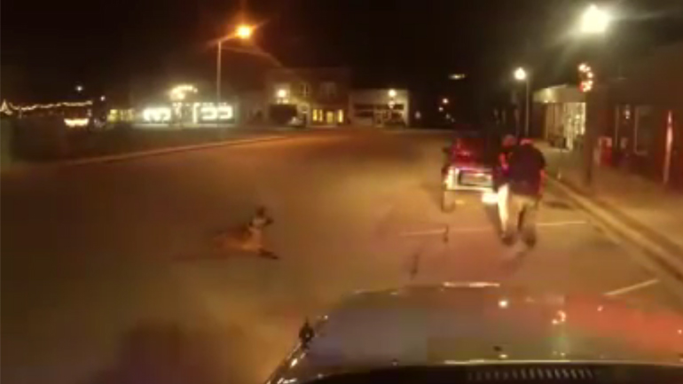 Σκύλος σώζει αστυνομικό