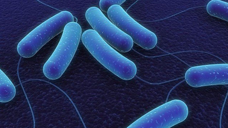 Σύφιλη, «ο μεγάλος υποκριτής»