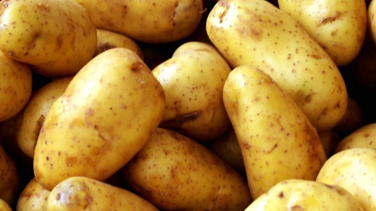 Κατάσχεση και καταστροφή μεγάλης ποσότητας πατάτας στον Πειραιά