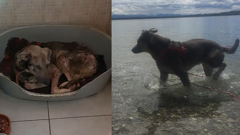 Ευτυχισμένος και πάλι ο Όλυμπος!