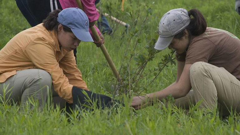 Φιλιππίνες: Αν δεν φυτέψεις 10 δέντρα… δεν παίρνεις απολυτήριο!