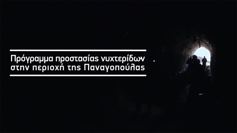 Πρόγραμμα προστασίας νυχτερίδων στην περιοχή της Παναγοπούλας στην Ολυμπία Οδό