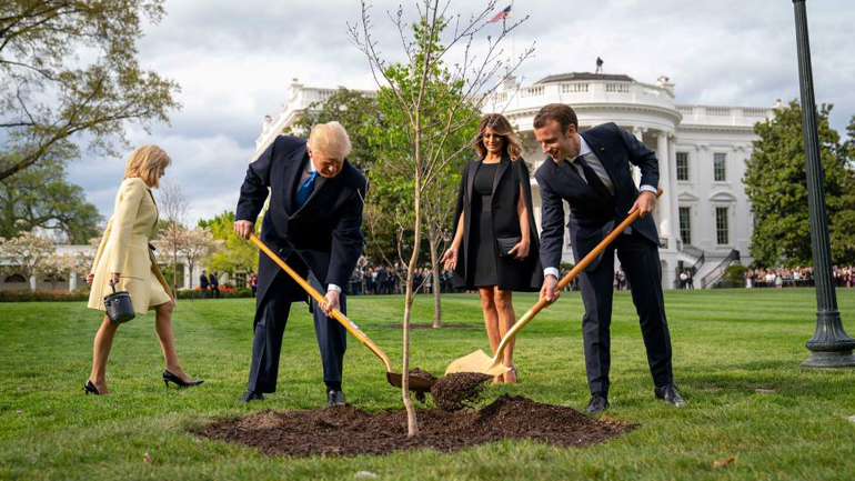  Ξεράθηκε το δέντρο-σύμβολο της φιλίας των Ντόναλντ Τραμπ και Εμανουέλ Μακρόν