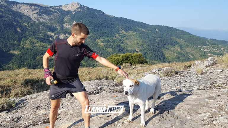 H συγκινητική αφοσίωση μιας σκυλίτσας στους περιπατητές της Οίτης!