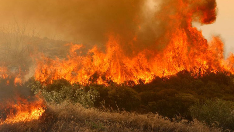 Συνελήφθη 23χρονος για εμπρησμό στα Τσαμέικα Δυτικής Αχαΐας