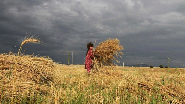 Unicef: Περίπου 152 εκατ. παιδιά ανά τον κόσμο αναγκάζονται να εργάζονται