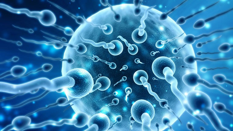 Tρόποι για να αυξηθεί ο αριθμός των σπερματοζωαρίων