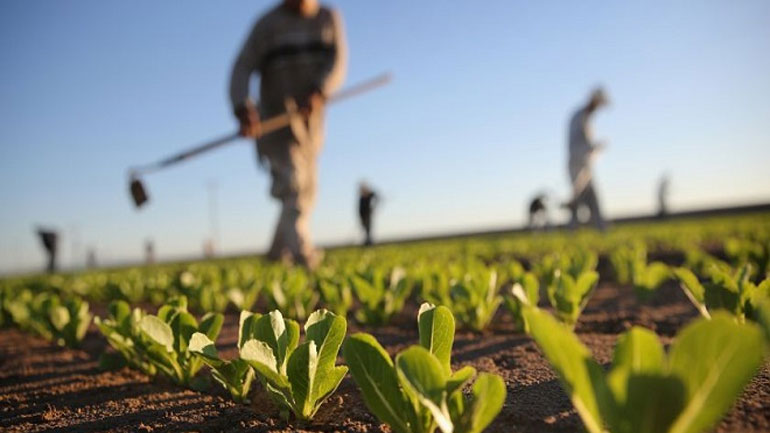 Πόσο ασφαλή είναι τα αμερικανικά τρόφιμα που διακινούνται στην Ευρώπη;