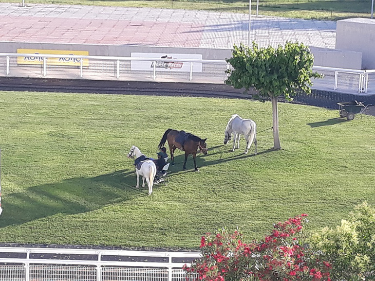 Πολλές είναι οι εκπλήξεις για τα παιχνίδια και αυτή την Κυριακή