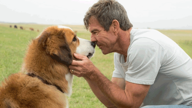 Προσεχώς «Ένας Αληθινός Φίλος» – Μια τρυφερή ιστορία αγάπης και αφοσίωσης