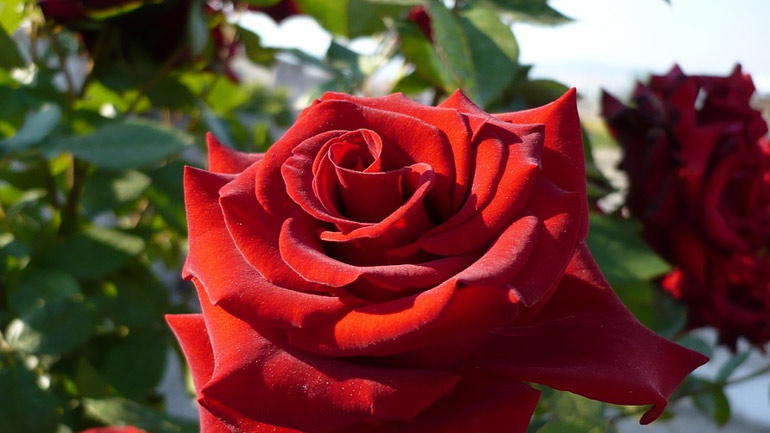 Για τον Πατέρα