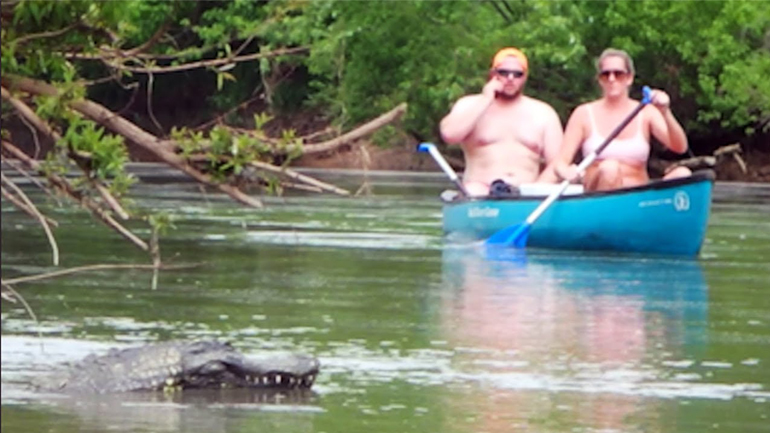 Φάρσα με τηλεκατευθυνόμενο αλιγάτορα