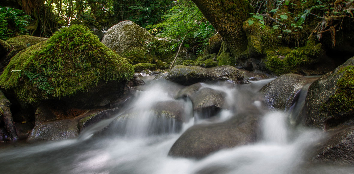Μια καταπράσινη όαση