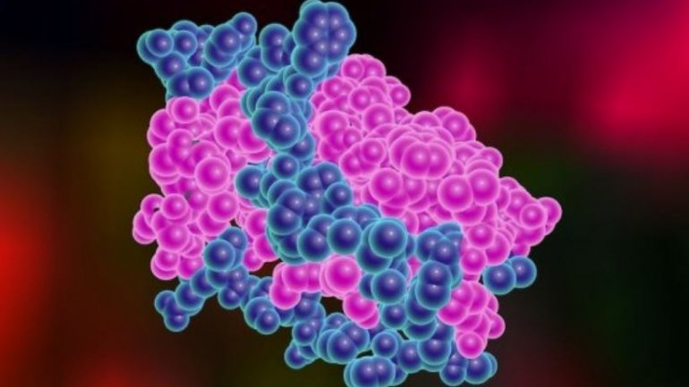 Aποκαλύφθηκε η βιολογία της λεπτίνης, της ορμόνης της πείνας