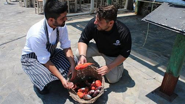 Master chef στη Νίσυρο