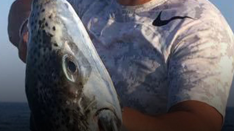 Έπιασε λαγοκέφαλο-τέρας ανοιχτά της Ιεράπετρας