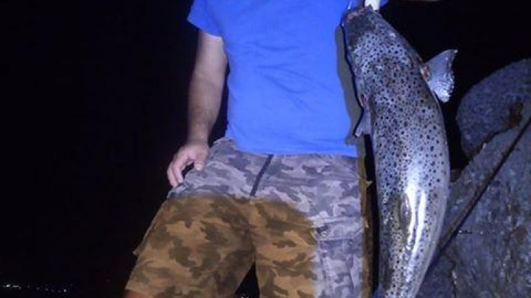 Εφιάλτης οι γιγάντιοι λαγοκέφαλοι στην Κρήτη