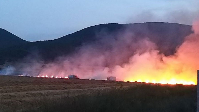 Καβαλλάρι Θεσσαλονίκης: Ξέσπασε πυρκαγιά σε χωράφι από πυροτεχνήματα γάμου