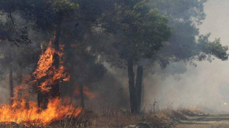 Αυλώνα: Νεκρός εντοπίστηκε σε πυρκαγιά