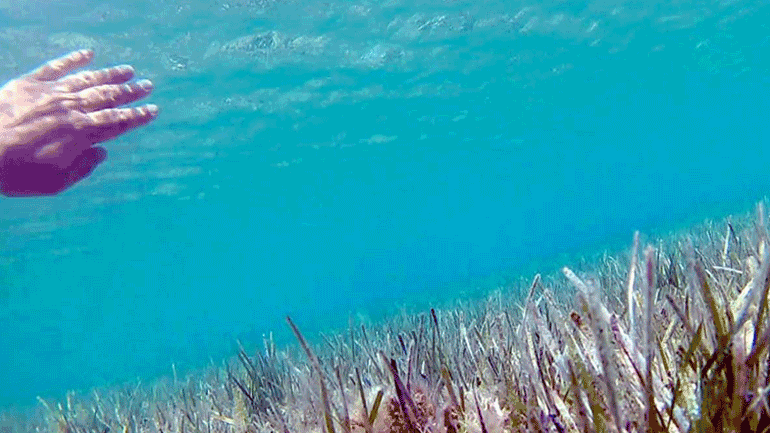 «Στο ίδιο ποτάμι δύο φορές»: Το πορτρέτο μιας πόλης από 30 καλλιτέχνες που ζουν στην Αθήνα