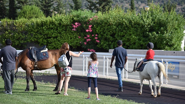 Τα εντυπωσιακά alpaca κέντρισαν το ενδιαφέρον.